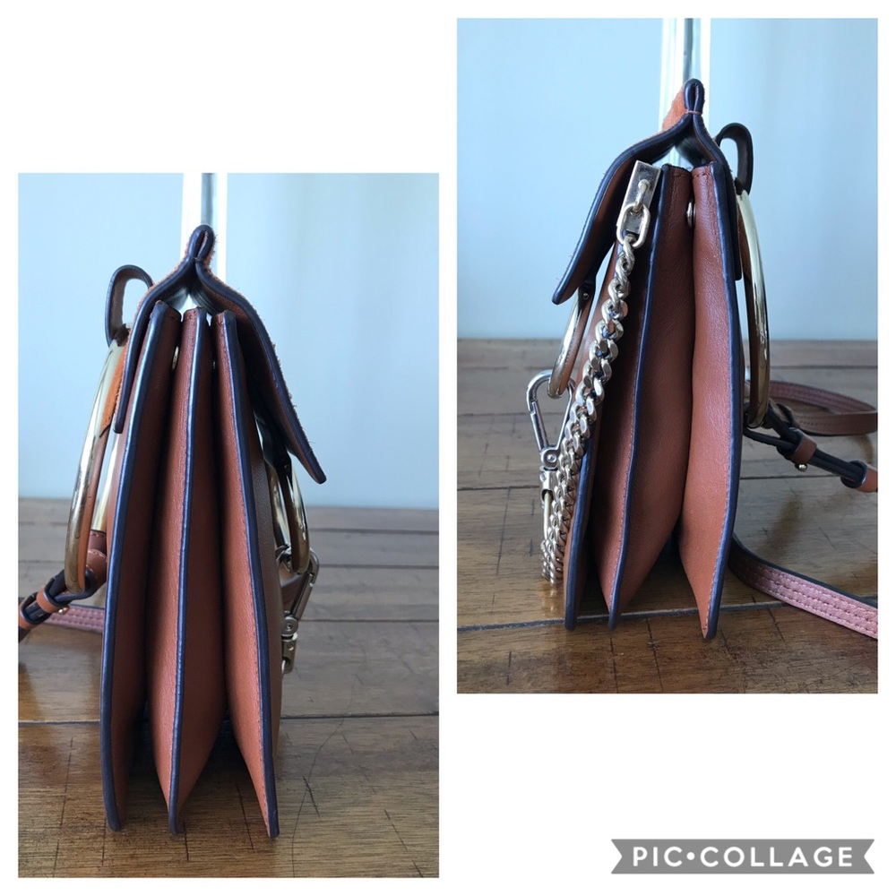 Chloe - Picture 6 of 8